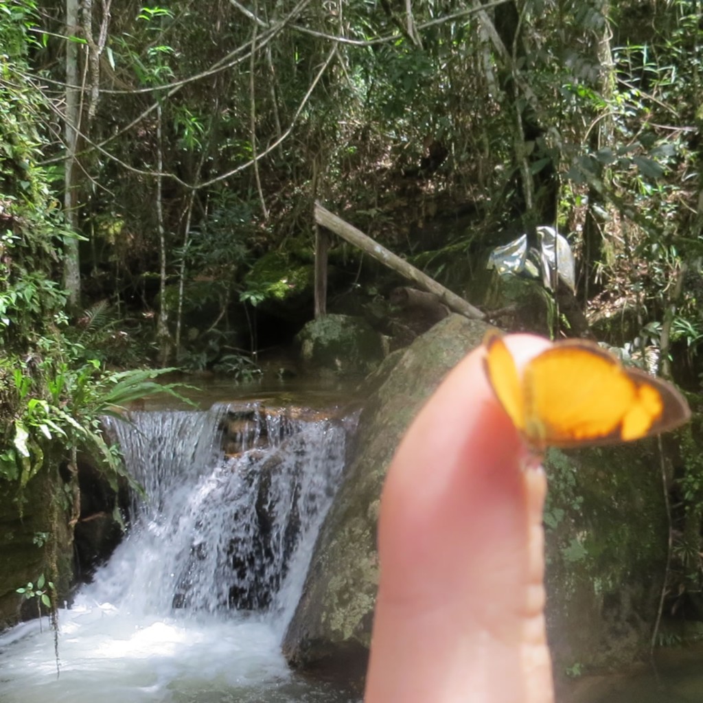 O Inusitado na Serra da Canastra