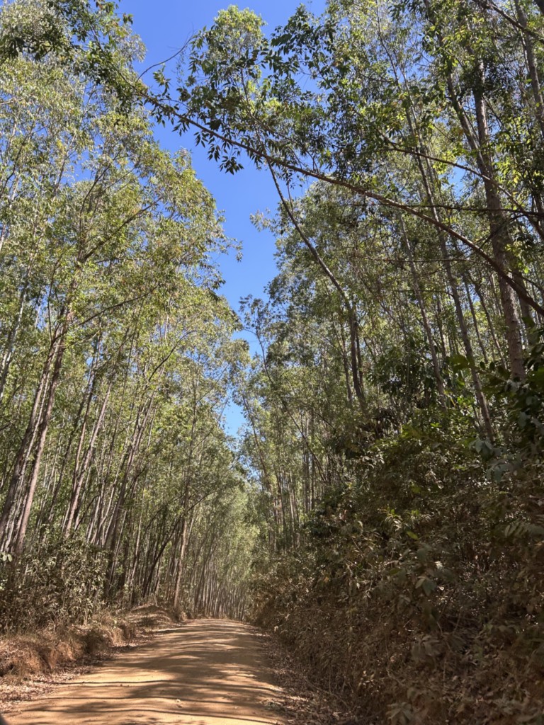 Estrada no Vale da Babilônia - Serra da Canastra